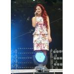 19-06-2013 - sperber - Kerstin Merlin - 3.jpg